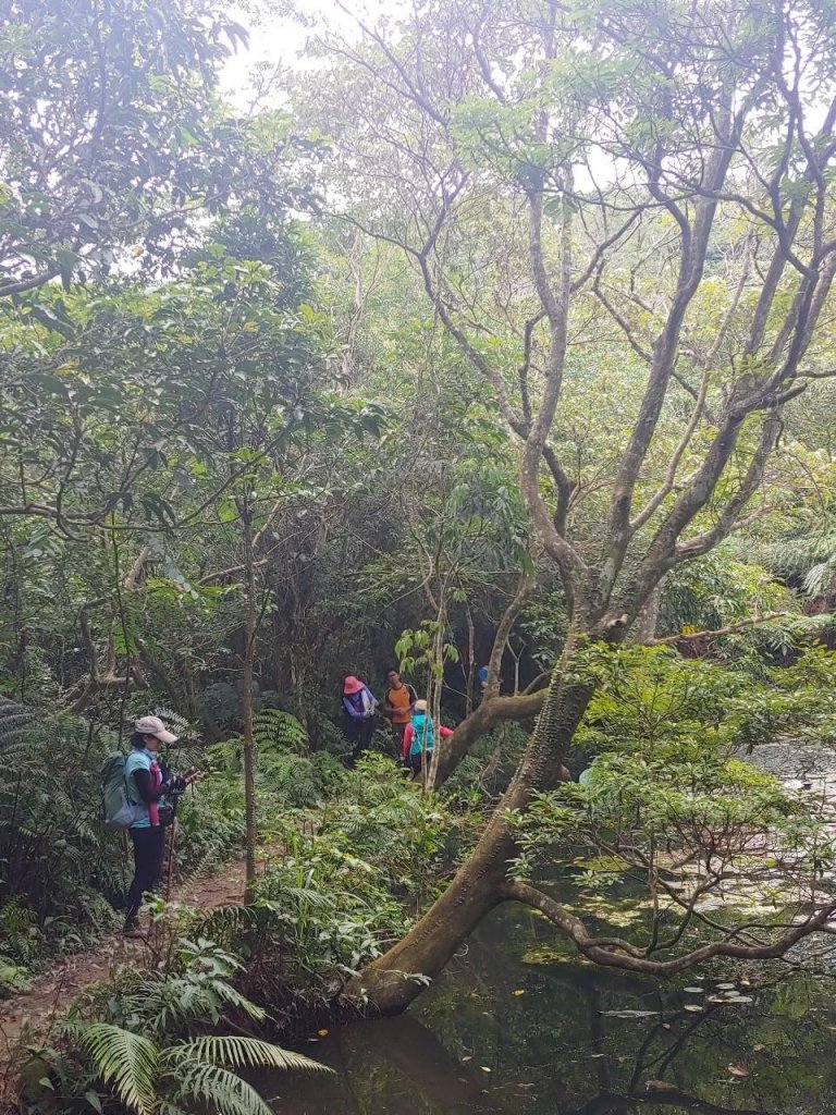 20220618倒照湖山連走土庫岳_1751197