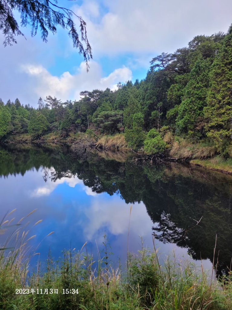 三星山+三星池+望洋山+太平山山毛櫸_2432906