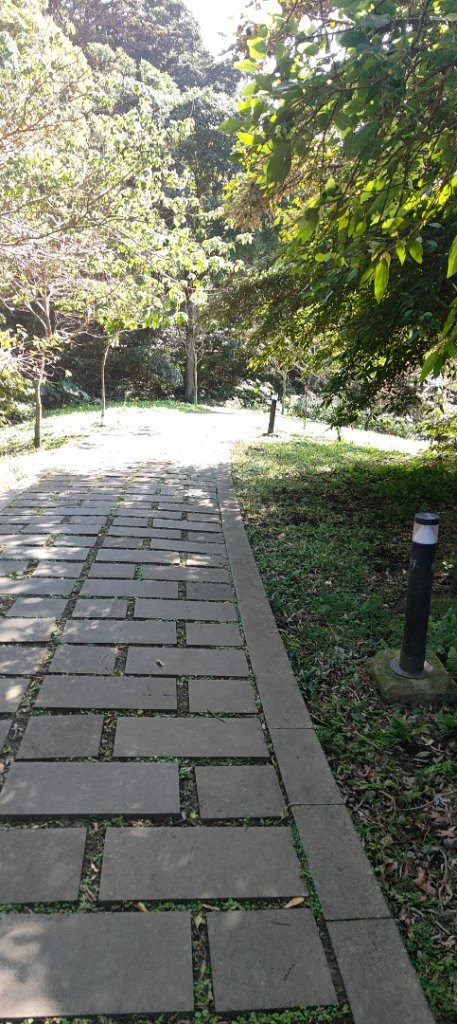 林梢步道_2700678