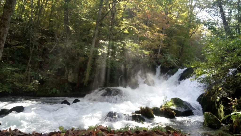 奧入瀨溪健行_444374