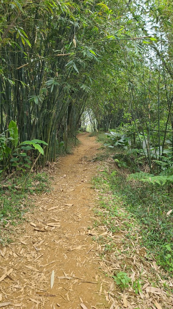 2024-0107台北大縱走第六段_2437701