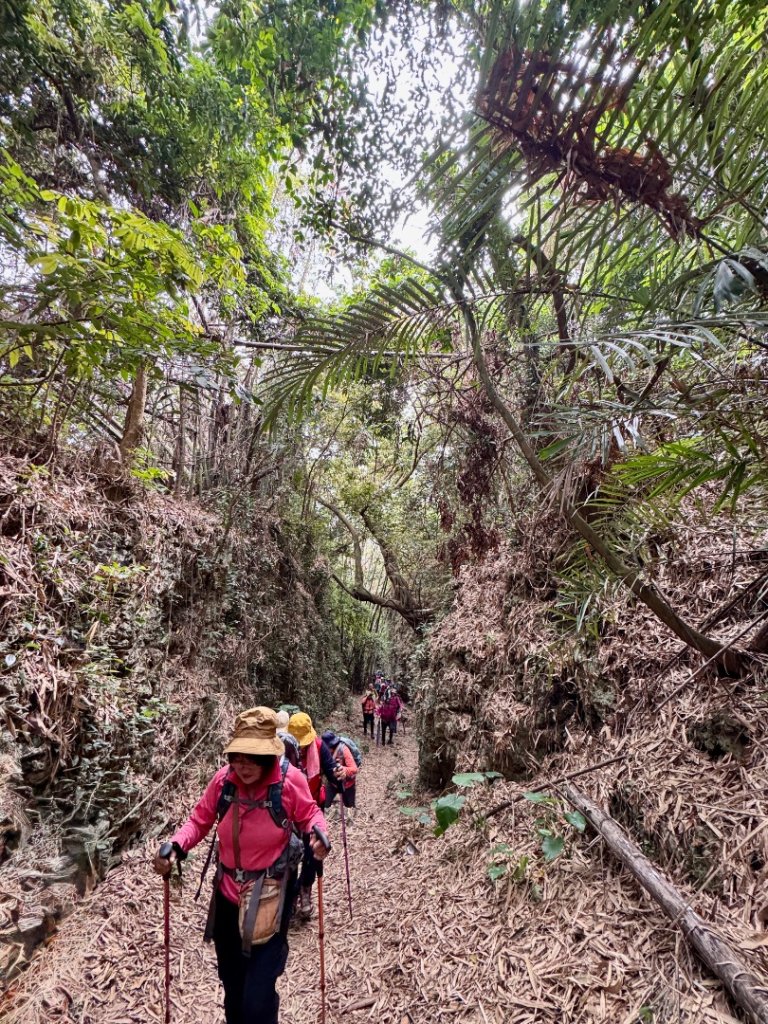 大崗山(小百岳#74)龍盤峽谷一線天_2764661