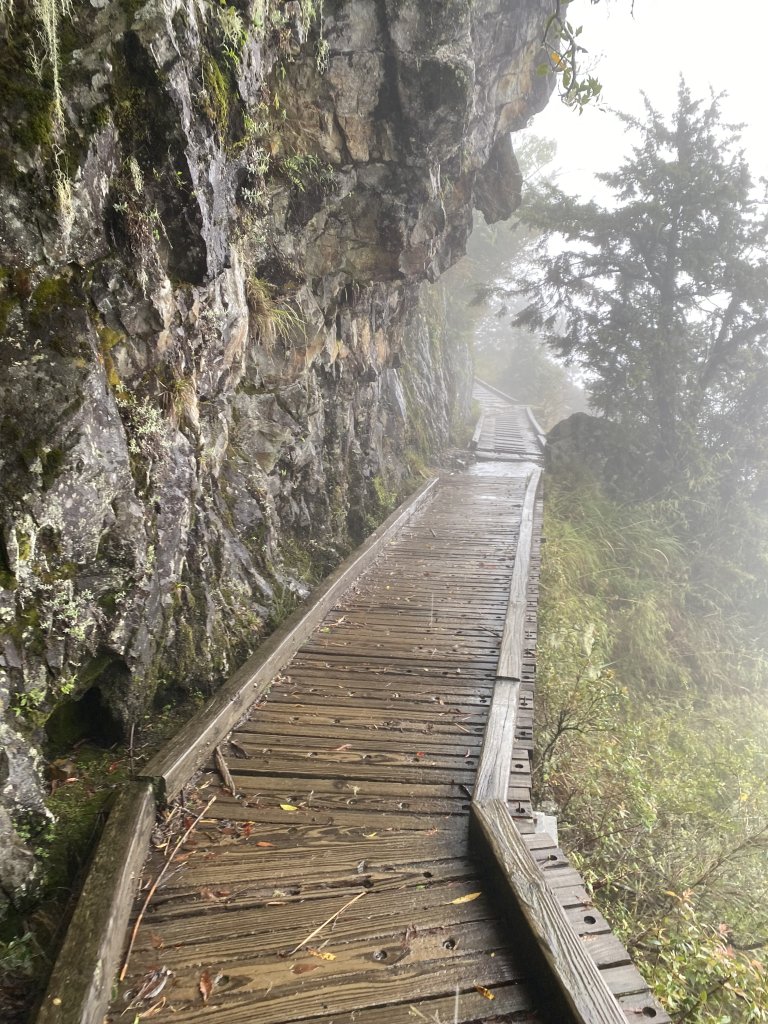 玉山主峰-前峰-排雲山莊2日_2526166