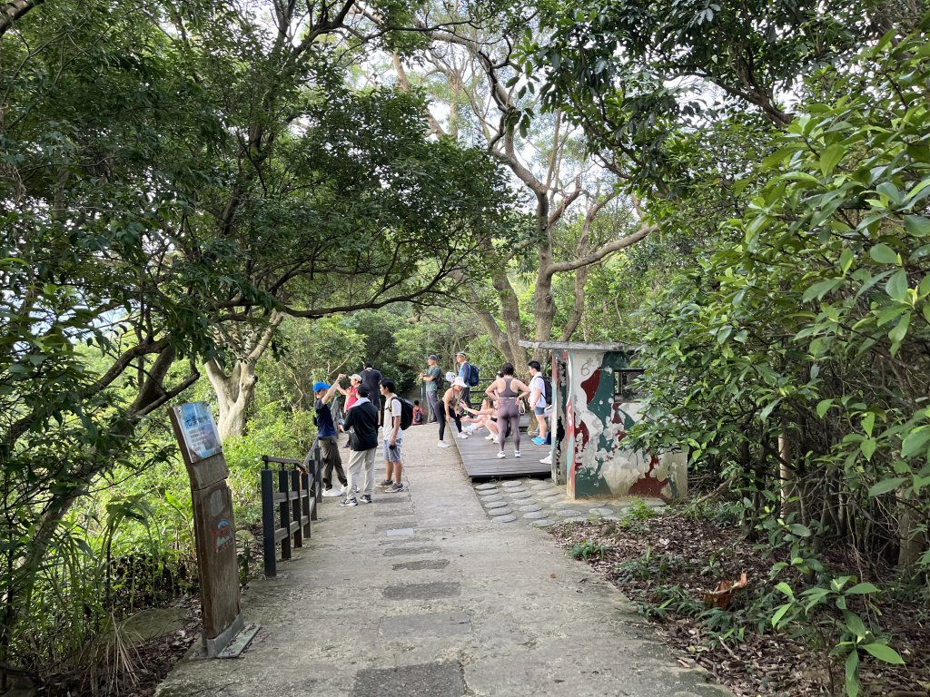 [山頂鳥40周年會員大縱走-14/15] 2024_0804 劍潭山親山步道_2566174