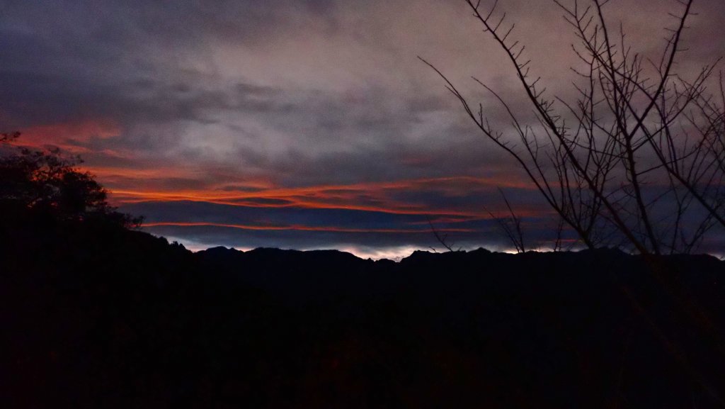 台灣最高如神般存在的大安溪倚天劍巨木探訪_2747955