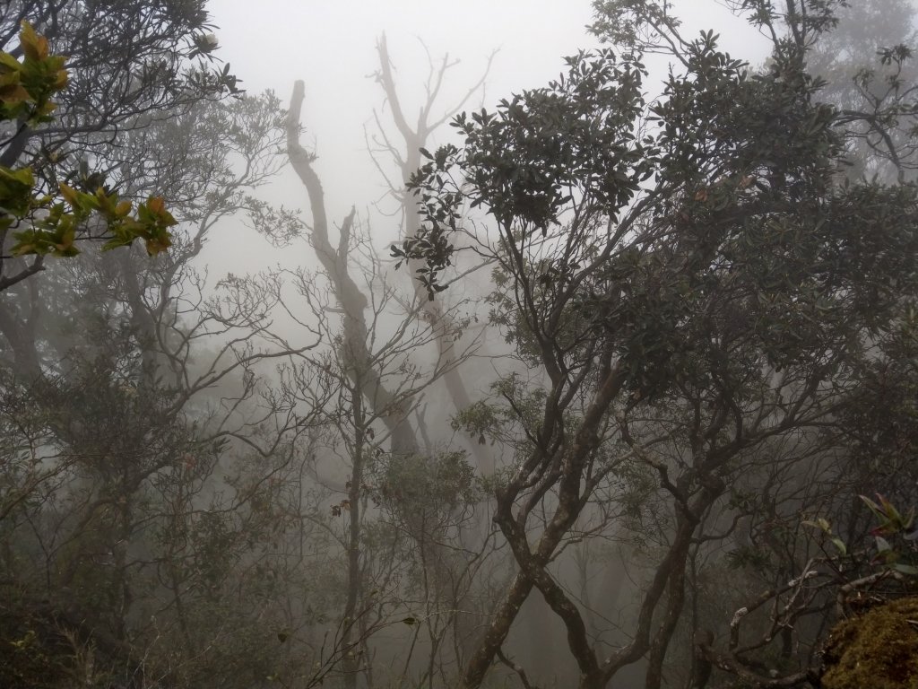 2018.04.07復興三尖-那結山_1005322