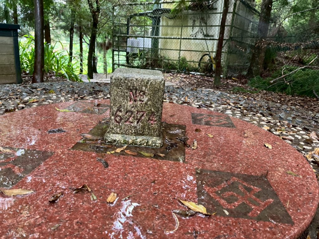 新竹 五峰 雪霸休閒農場 野馬瞰山步道_2811504