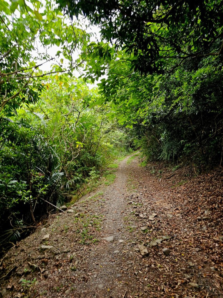 加奈美山-小百岳#95-台東縣大武鄉_2776994