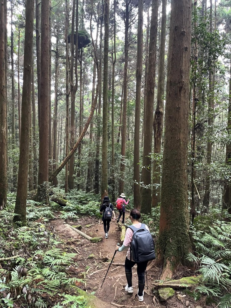 加里山 鹿場 20211106_1508973