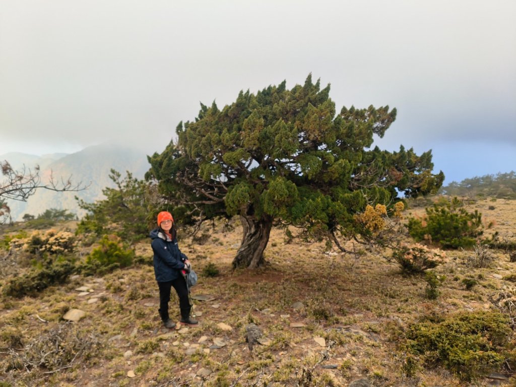 20240322 馬博8天縱走~第七天，馬西山，喀西帕南山_2471465
