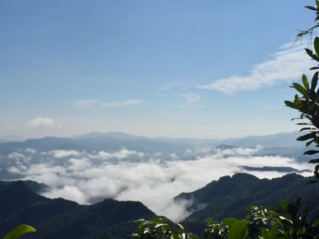 大桶山_981199