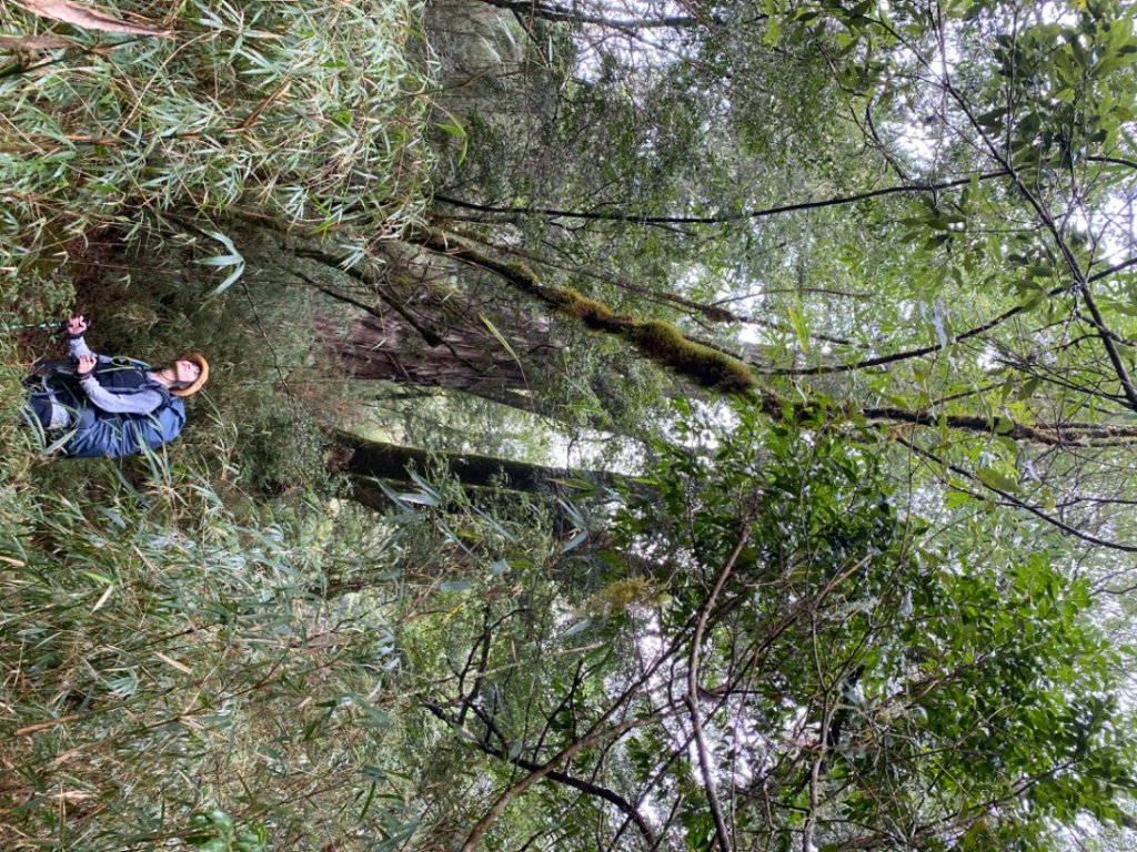 白姑大山_2130223