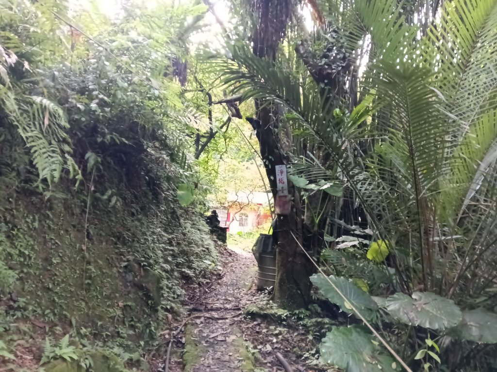 平溪區善覺寺步道+畝畝山北稜線+畝畝山+石硿子瀑布+灰窯瀑布O型_2940012