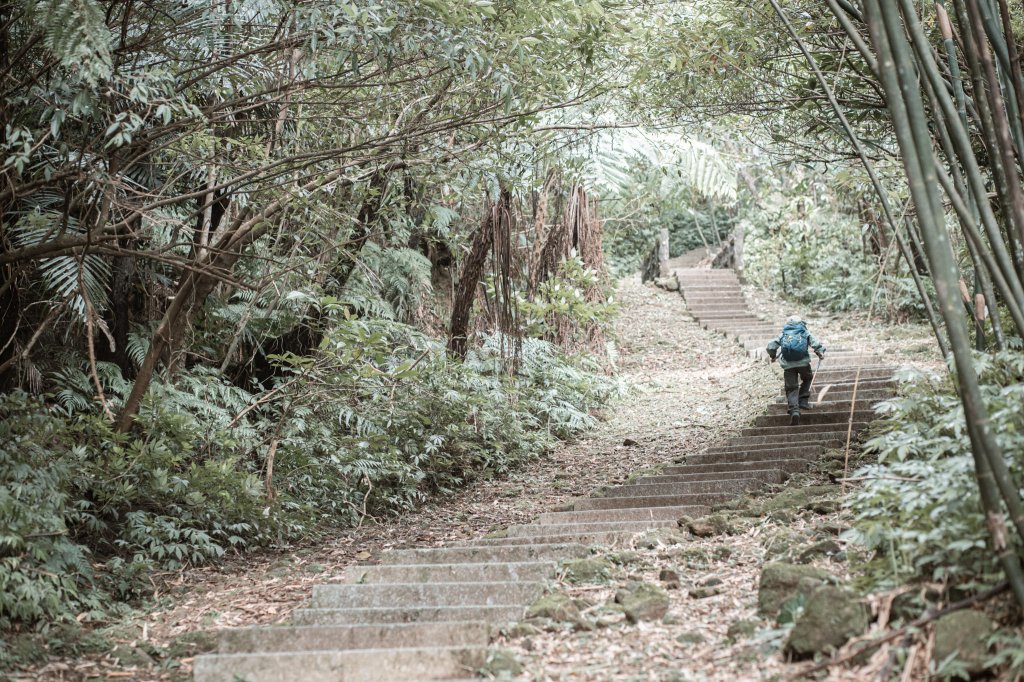 菅芒浪白｜五分山_2356495