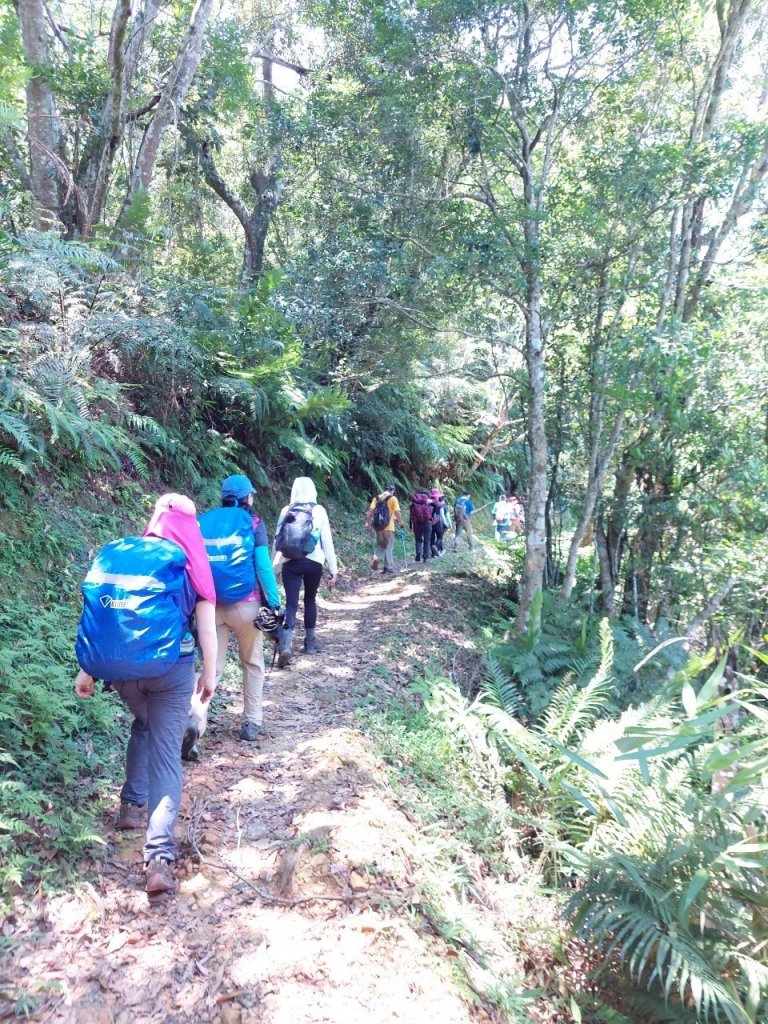 石碇千島湖_1776226