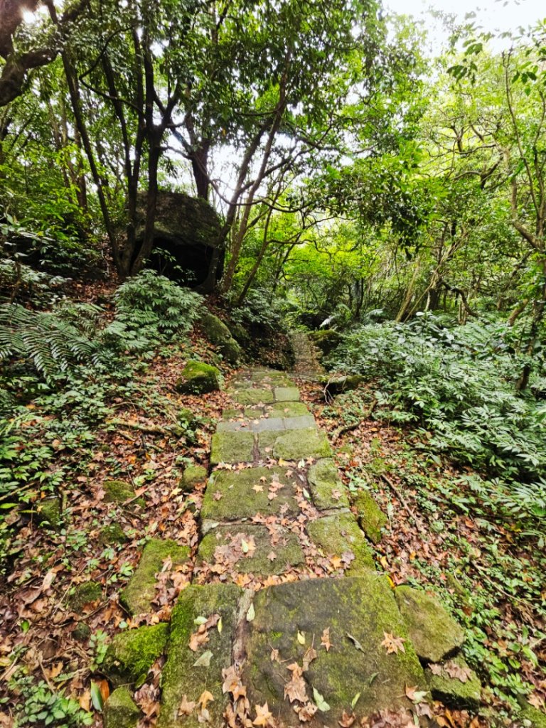 2025臺北大縱走第四段：風櫃口至中華科技大學_2973478