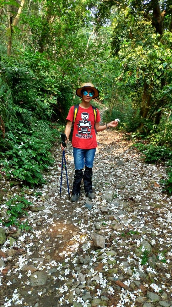 小百岳【尾寮山】_905250