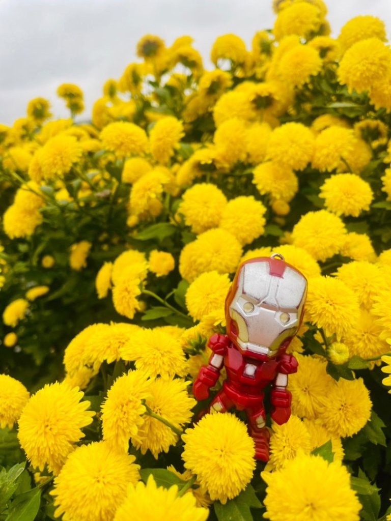 苗栗三義銅鑼三員縱走-三角山-員屯山_2651645