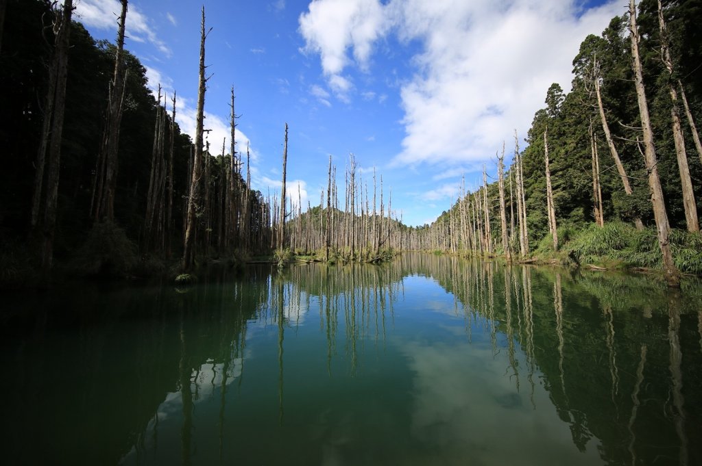 水樣森林 第一次在山裡過夜_659222