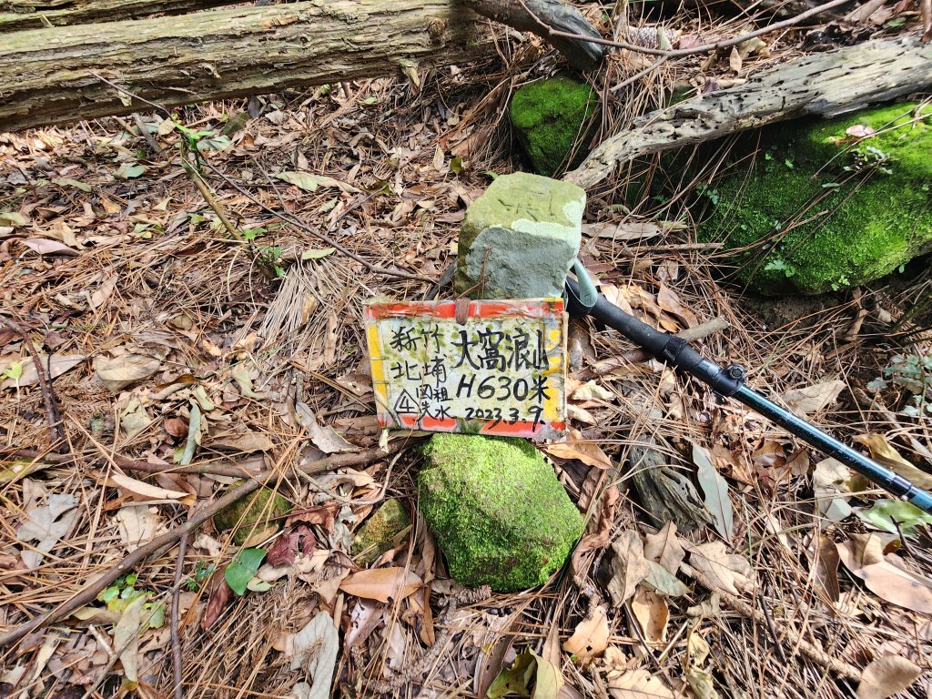 20250319大窩浪山_2771514