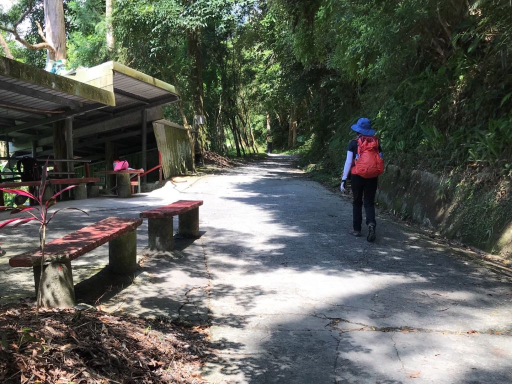 聖母登山步道上三角崙山_381331