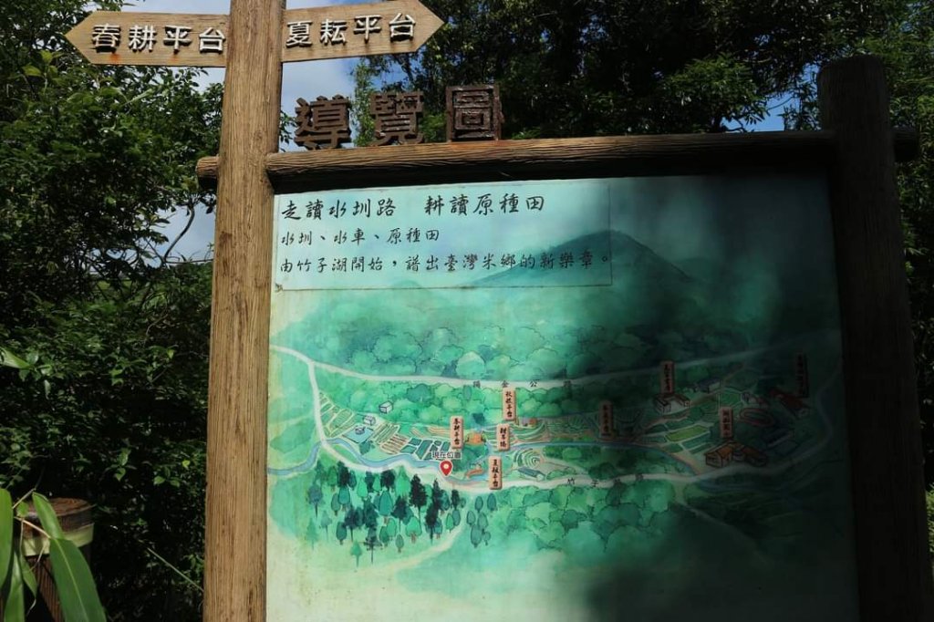 陽明山  菜公坑山 反經石   水車寮步道。林木蓊鬱  豐富的蕨類植披，絕佳避暑古道_2173976