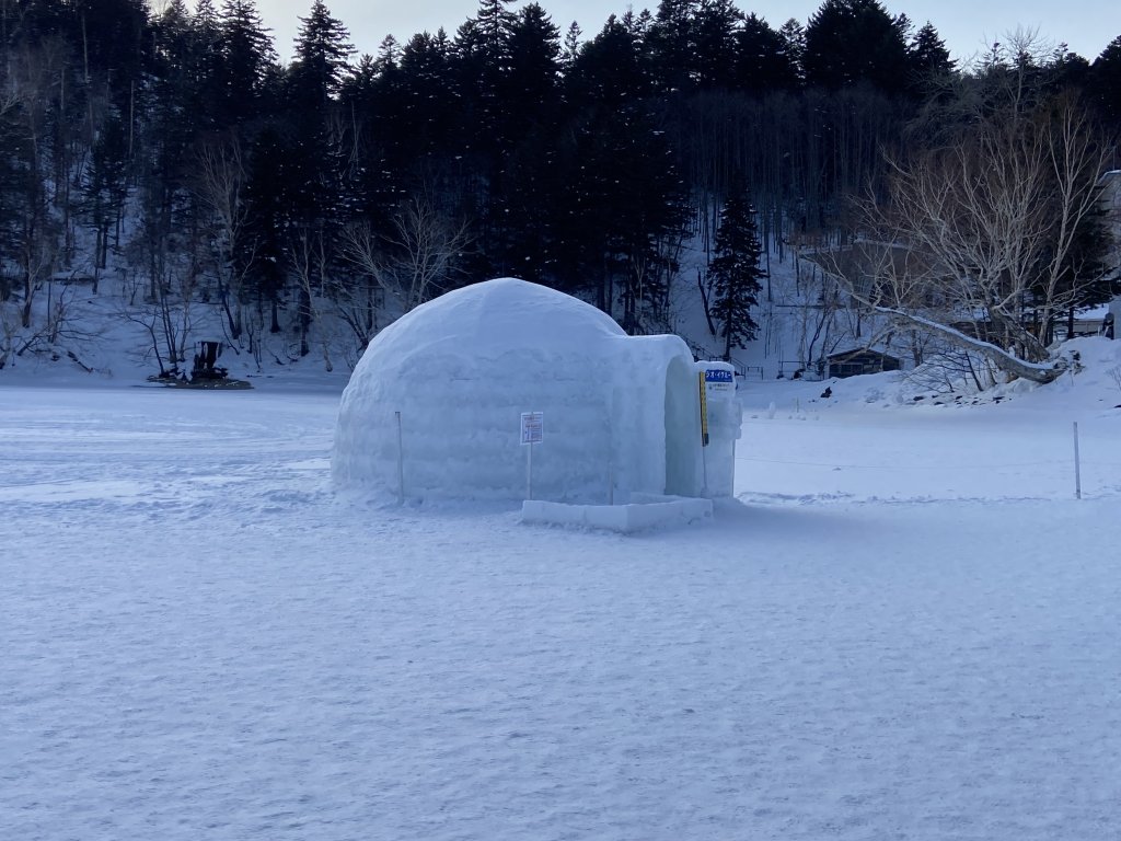 北海道------雪祭_3001909