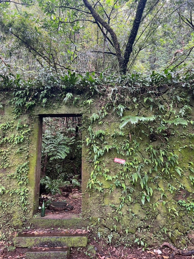 2025-01232淡蘭古道北二段(燦光寮古道到澳底)_2696708