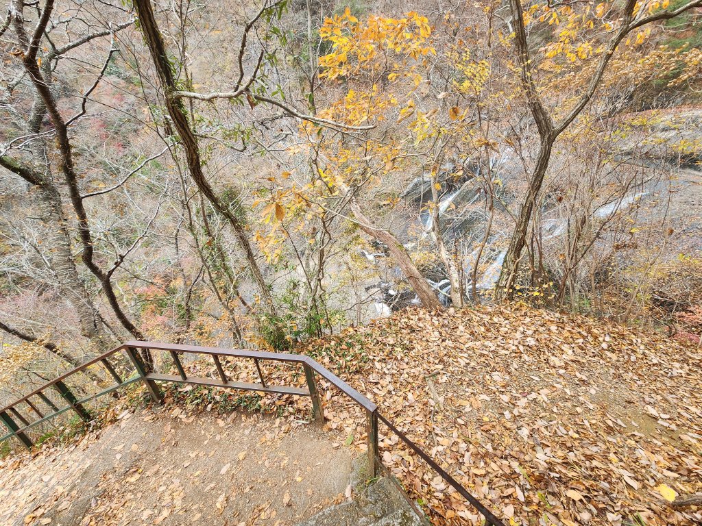 20251125登月居山遊袋田瀑布順遊舊上岡小學校_2958380