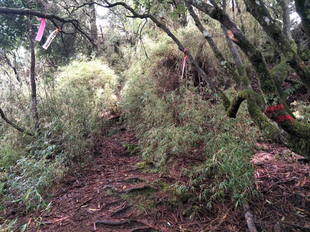 石水山&真鹿林山_1429852