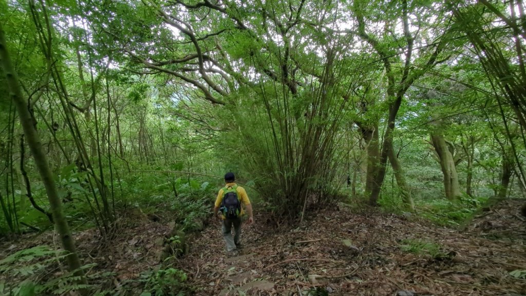 112.08.05湖山-紗帽山之旅_2240703
