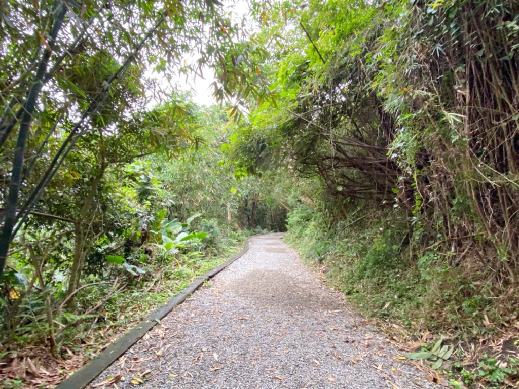 天母水管路古道_1068093