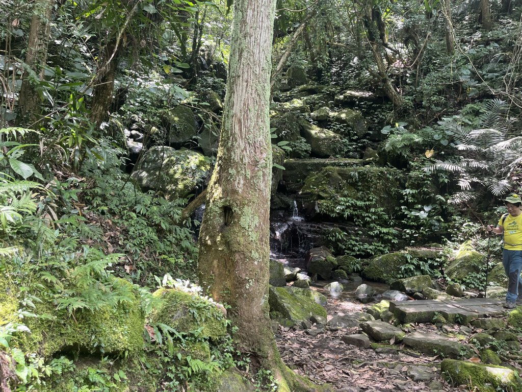 [淡蘭古道] 2024_0622 中路第五段-灣潭古道_2533991
