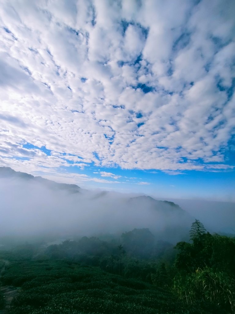 雲嘉連峰_2365666