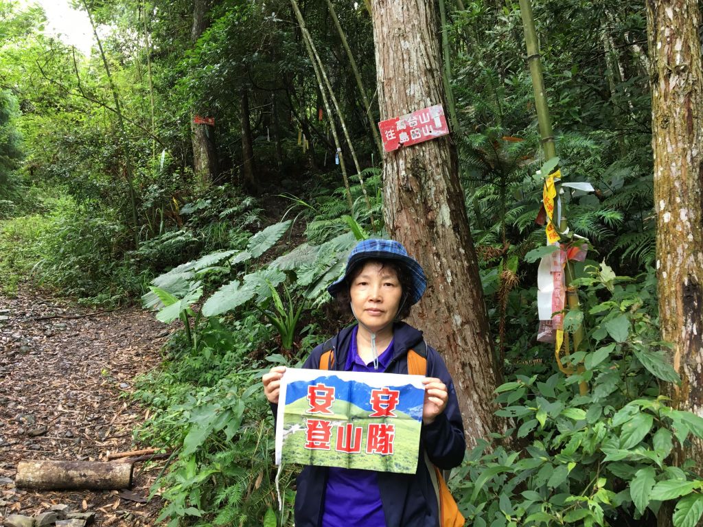 2018/06/18高台山連走島田三山_353640