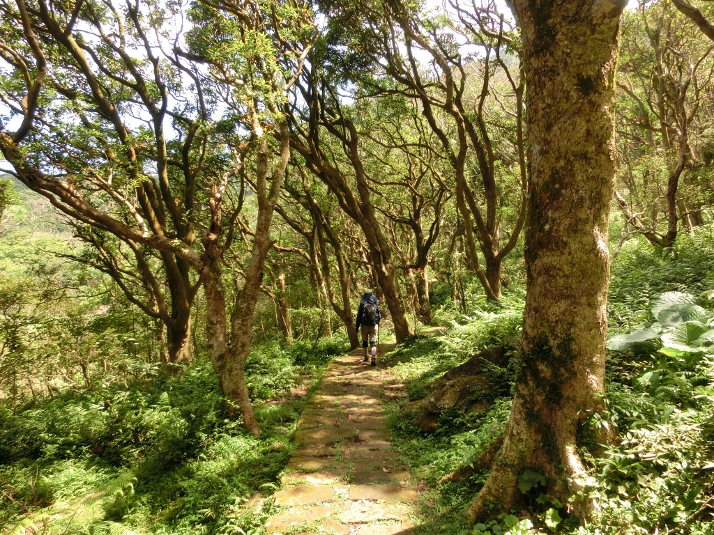 興福寮．向天池．向天山．面天山_95238