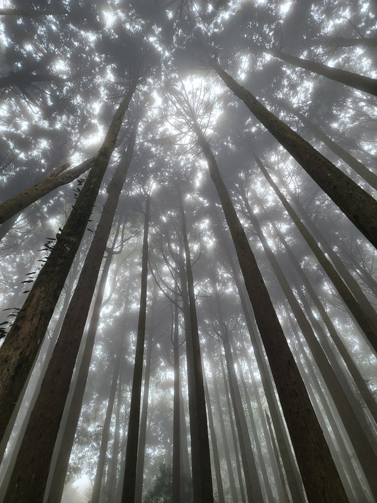 加里山封面圖