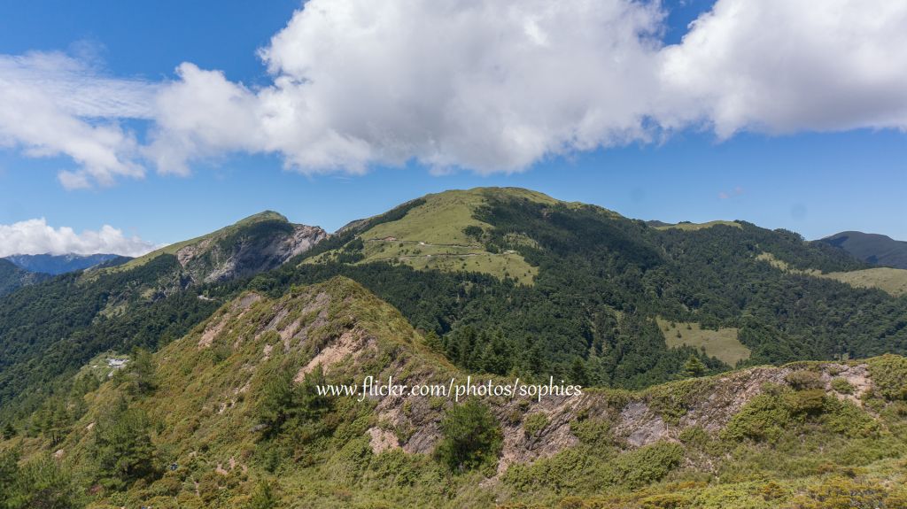 20180714合歡山北峰_376284