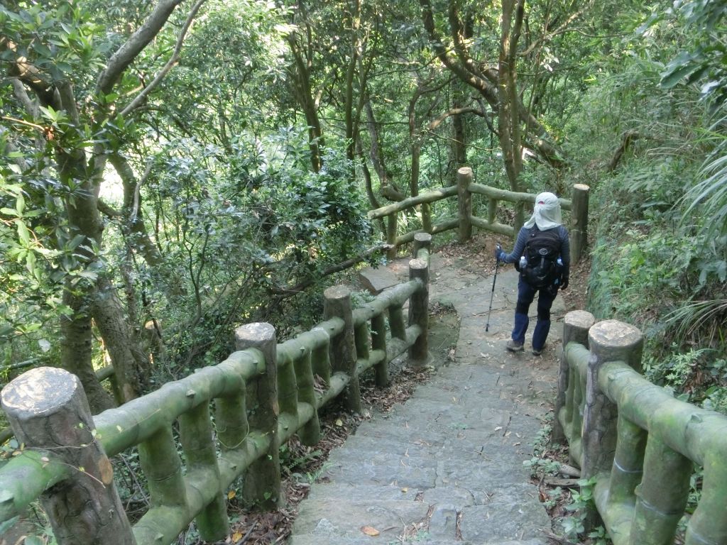 貴子坑水土保持園區．親山步道．露營場_168392