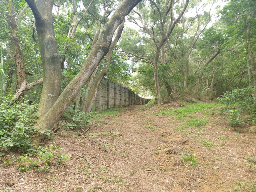 20220611印斗山(新竹軍人忠靈祠 - 青草湖)_1744541