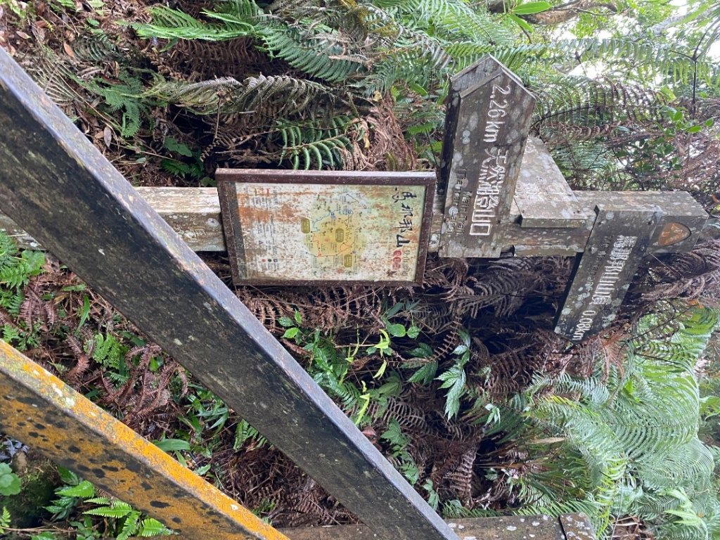 037苗栗泰安-馬那邦山_2604670