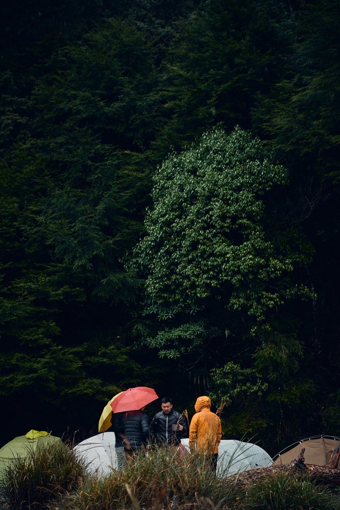 小關山二日_2464513