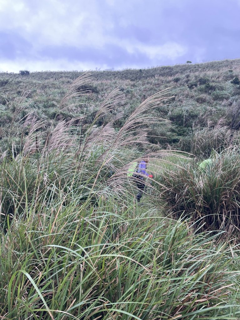 龍虎縱走_2945613