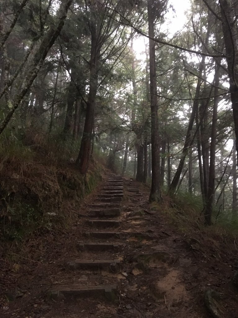 雪山主東峰_434871