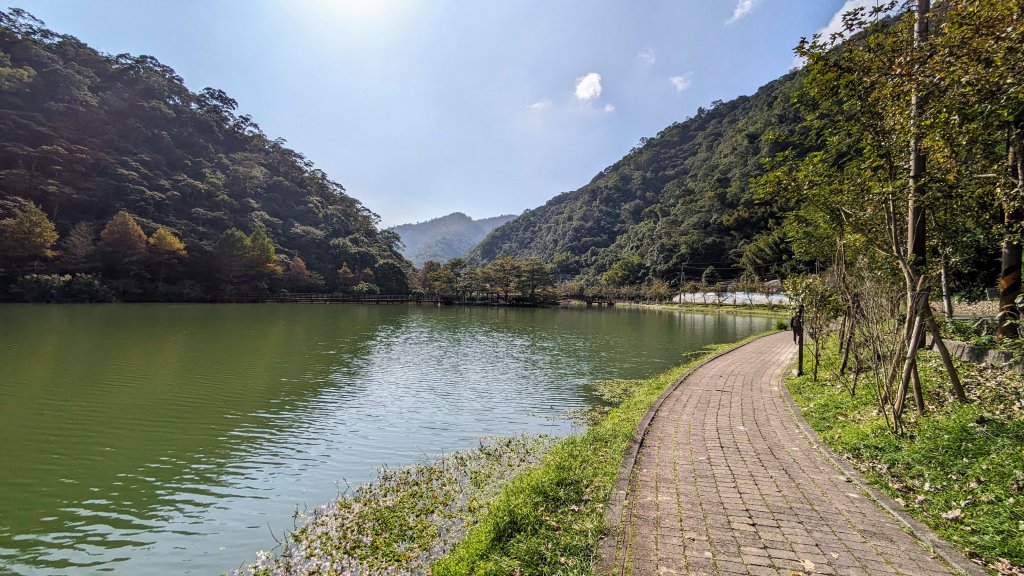 望龍埤,鎮頭山,蜊埤湖_2391843