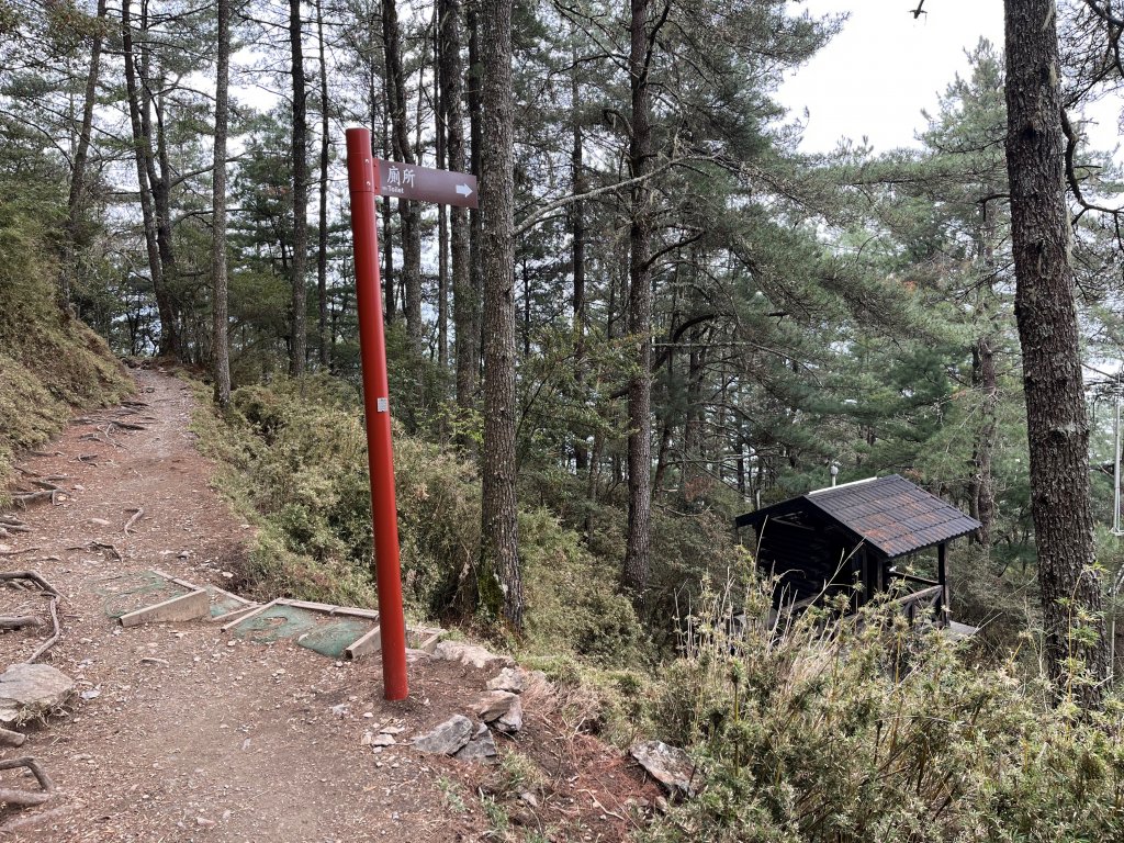 2023_0409_玉山西峰_2106318