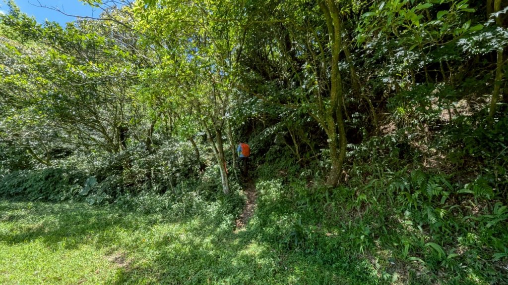 114.06.28內平林山-番子坑山-平湖森林遊樂區之O型_2824215