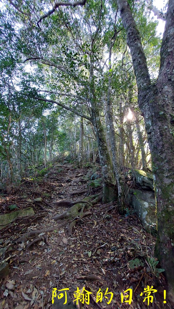 高島縱走_2686913