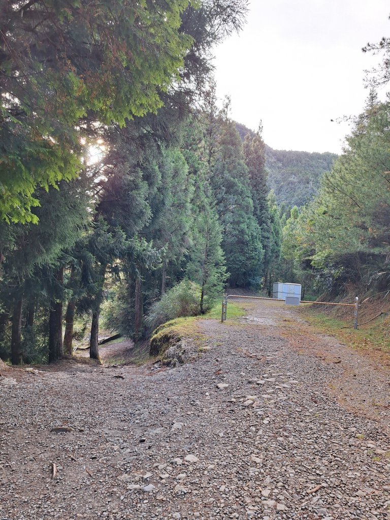 觀霧之榛山O型20241123_2653883