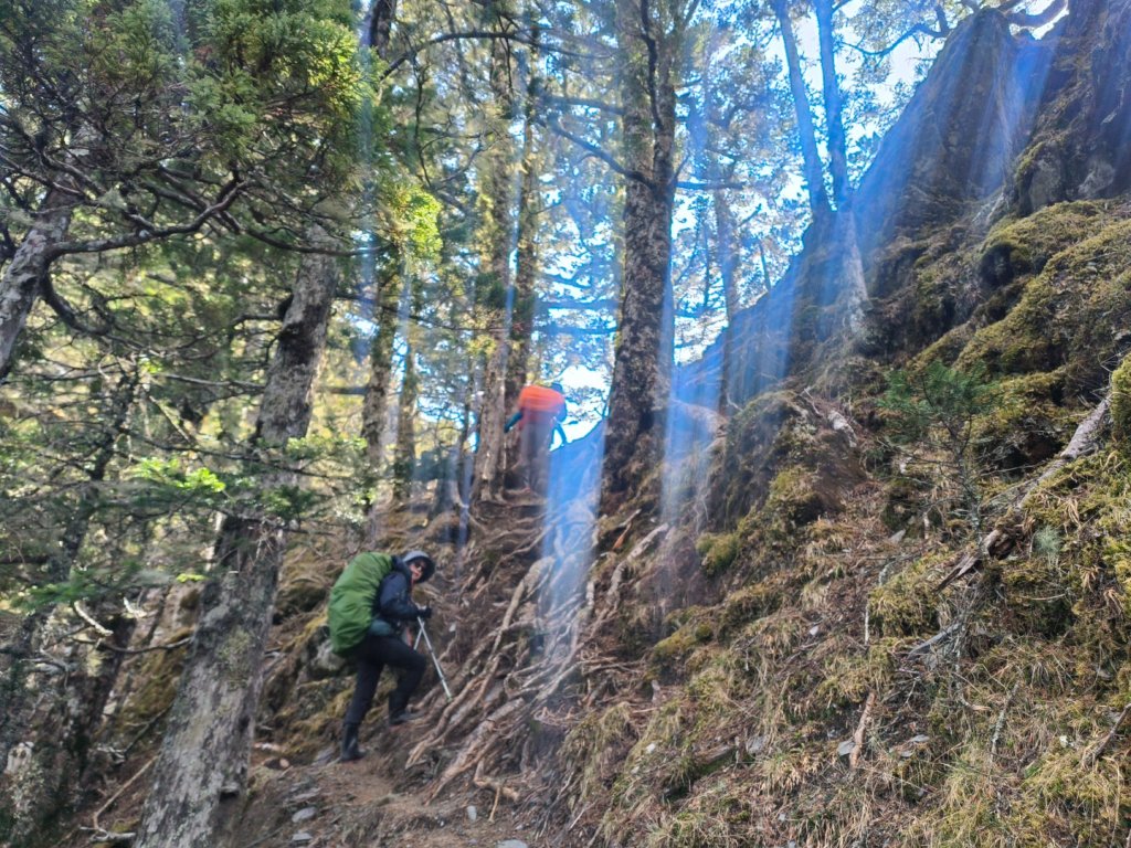 20240320 馬博8天縱走~第五天，馬里亞文路山，馬利加南山_2471189